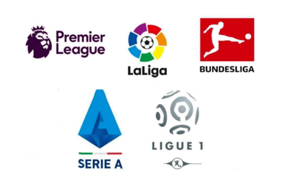 吸引了大量 吸引了大量